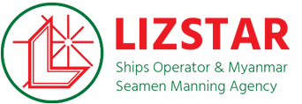 Logo Lizstar